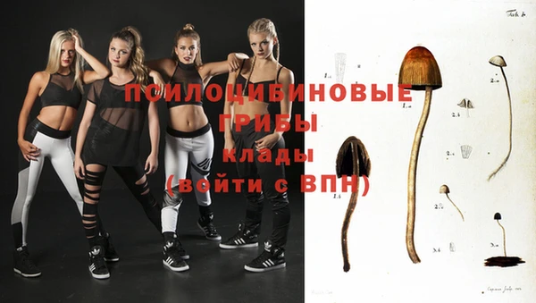 прущие крисы Алексин