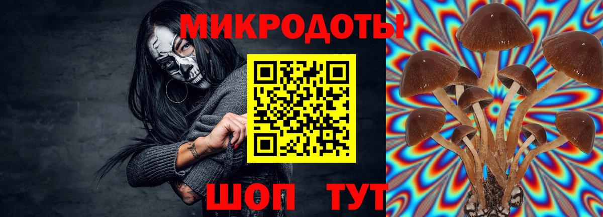 Галлюциногенные грибы мухоморы  Вход с VPN  Одинцово 