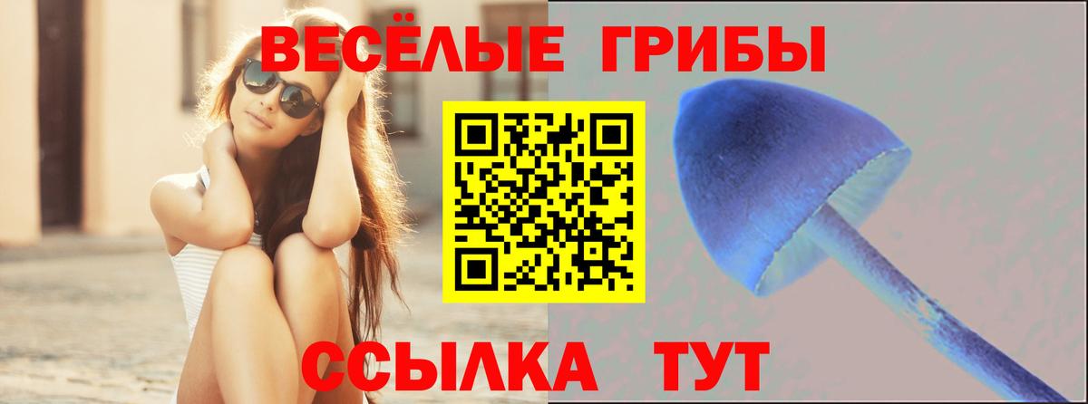 МЕФ Одинцово